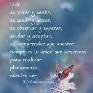 Meet your Posher, Cecy